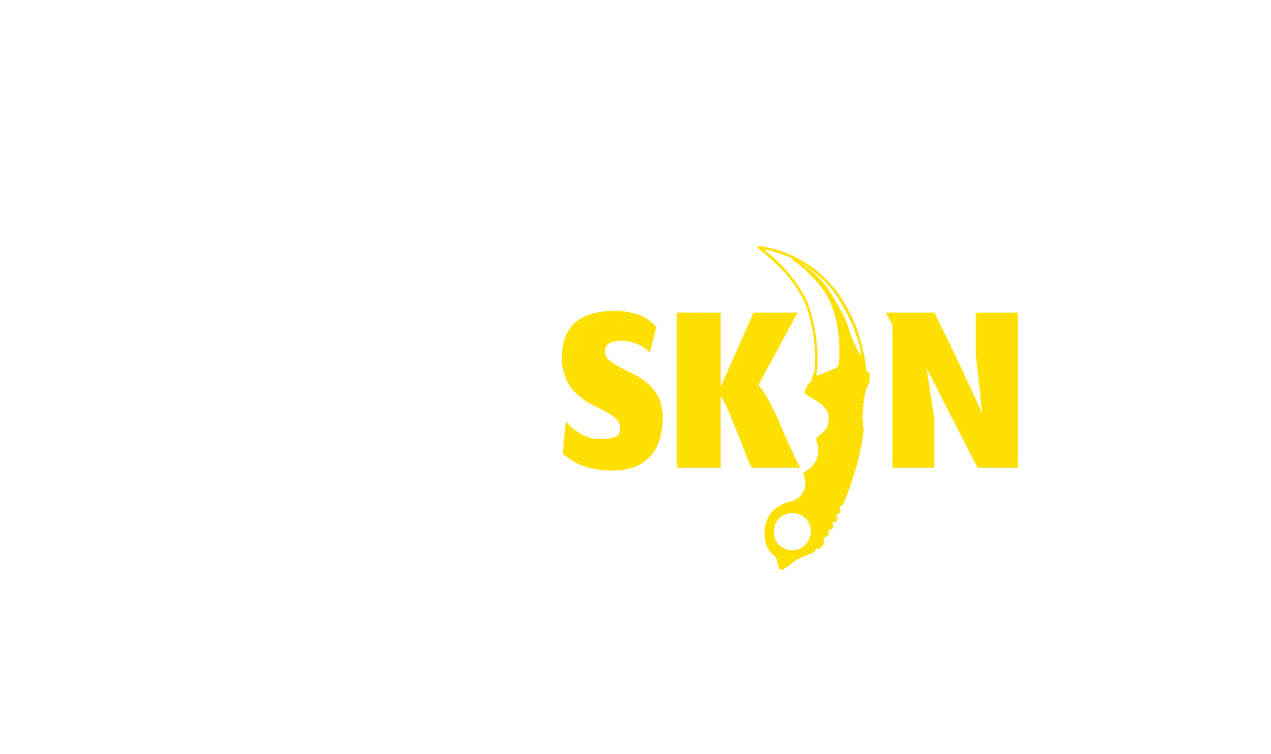 csgoskin